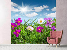 Load image into Gallery viewer, Photo Wallpaper Flowering Meadow
