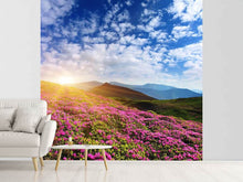 Load image into Gallery viewer, Photo Wallpaper Flowery Mountain Landscape

