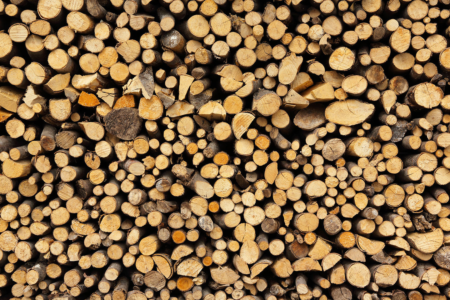 Photo Wallpaper Firewood