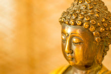 Load image into Gallery viewer, Photo Wallpaper Buddha Head
