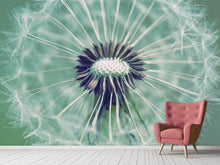 Load image into Gallery viewer, Photo Wallpaper Close Up Dandelion
