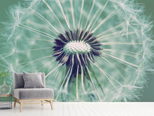 Load image into Gallery viewer, Photo Wallpaper Close Up Dandelion
