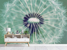 Load image into Gallery viewer, Photo Wallpaper Close Up Dandelion
