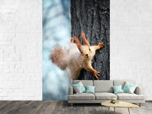Load image into Gallery viewer, Photo Wallpaper The Squirrel
