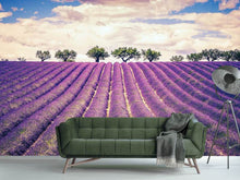 Load image into Gallery viewer, Photo Wallpaper The Lavender Field
