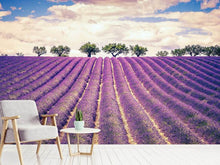 Load image into Gallery viewer, Photo Wallpaper The Lavender Field
