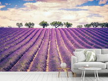 Load image into Gallery viewer, Photo Wallpaper The Lavender Field
