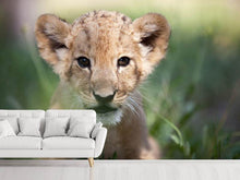 Load image into Gallery viewer, Photo Wallpaper Lion Baby
