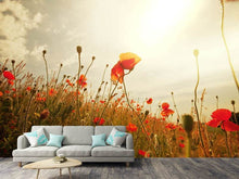 Load image into Gallery viewer, Photo Wallpaper The Poppy Field At Sunrise
