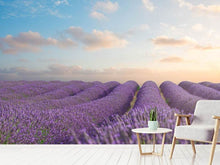 Load image into Gallery viewer, Photo Wallpaper The Blooming Lavender Field
