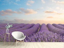 Load image into Gallery viewer, Photo Wallpaper The Blooming Lavender Field
