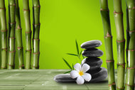 Photo Wallpaper Bamboo