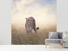 Load image into Gallery viewer, Photo Wallpaper The Cheetah
