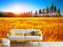 Load image into Gallery viewer, Photo Wallpaper The Autumn
