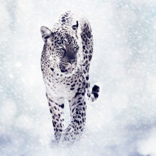 Load image into Gallery viewer, Photo Wallpaper Photo Wallaper The Leopard
