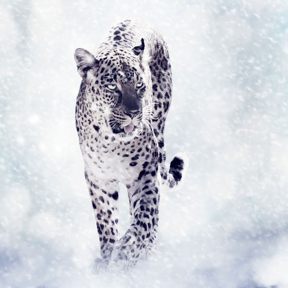 Photo Wallpaper Photo Wallaper The Leopard
