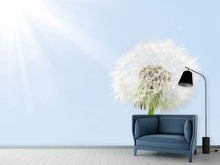 Load image into Gallery viewer, Photo Wallpaper Dandelion In Sunbeam
