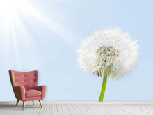 Load image into Gallery viewer, Photo Wallpaper Dandelion In Sunbeam
