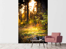 Load image into Gallery viewer, Photo Wallpaper The Forest In The Background

