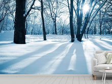 Load image into Gallery viewer, Photo Wallpaper The Forest Without Tracks In The Snow
