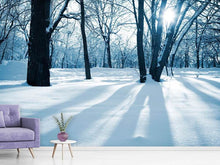 Load image into Gallery viewer, Photo Wallpaper The Forest Without Tracks In The Snow
