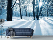 Load image into Gallery viewer, Photo Wallpaper The Forest Without Tracks In The Snow
