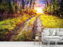 Load image into Gallery viewer, Photo Wallpaper The Forest Path
