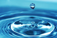 Photo Wallpaper The Water Drops