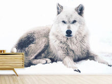 Load image into Gallery viewer, Photo Wallpaper The Wolf
