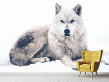 Load image into Gallery viewer, Photo Wallpaper The Wolf
