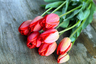 Photo Wallpaper The Red Tulip Bouquet
