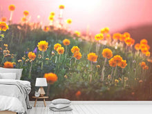 Load image into Gallery viewer, Photo Wallpaper The mountain Meadow
