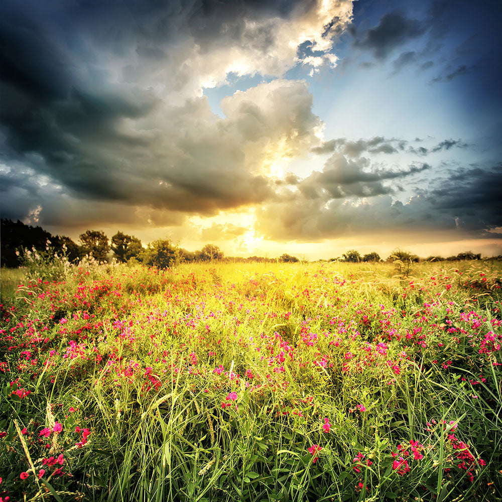 Photo Wallpaper Flowers Landscape
