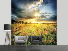 Load image into Gallery viewer, Photo Wallpaper Flowers Landscape
