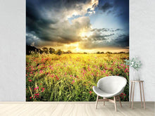 Load image into Gallery viewer, Photo Wallpaper Flowers Landscape
