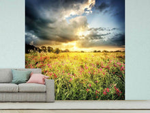 Load image into Gallery viewer, Photo Wallpaper Flowers Landscape
