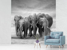 Load image into Gallery viewer, Photo Wallpaper The Elephants
