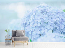 Load image into Gallery viewer, Photo Wallpaper The Hydrangea
