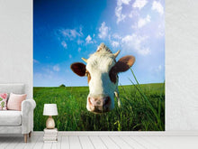 Load image into Gallery viewer, Photo Wallpaper The Cow
