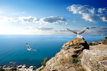 Load image into Gallery viewer, Photo Wallpaper The Seagulls And The Sea
