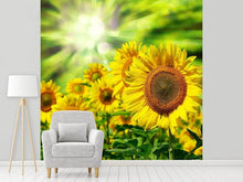 Load image into Gallery viewer, Photo Wallpaper The Sun And The Flowers
