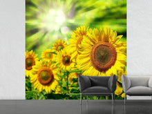 Load image into Gallery viewer, Photo Wallpaper The Sun And The Flowers
