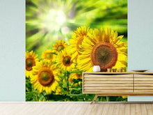 Load image into Gallery viewer, Photo Wallpaper The Sun And The Flowers
