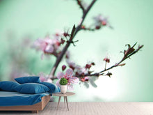 Load image into Gallery viewer, Photo Wallpaper Beautiful Japanese Cherry Blossom
