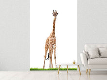 Load image into Gallery viewer, Photo Wallpaper The Long Giraffe
