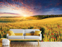 Load image into Gallery viewer, Photo Wallpaper A Flower Field At Sunrise
