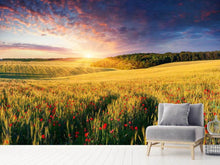 Load image into Gallery viewer, Photo Wallpaper A Flower Field At Sunrise
