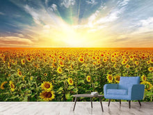 Load image into Gallery viewer, Photo Wallpaper A Field Full Of Sunflowers
