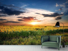 Load image into Gallery viewer, Photo Wallpaper A Field Of Sunflowers
