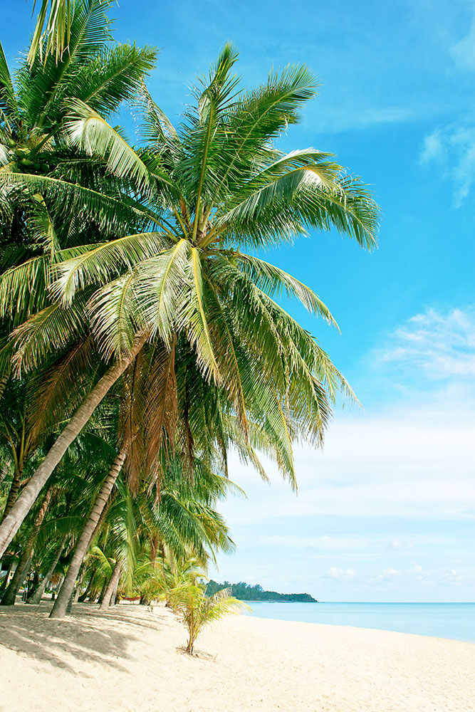 Photo Wallpaper A Island Dream